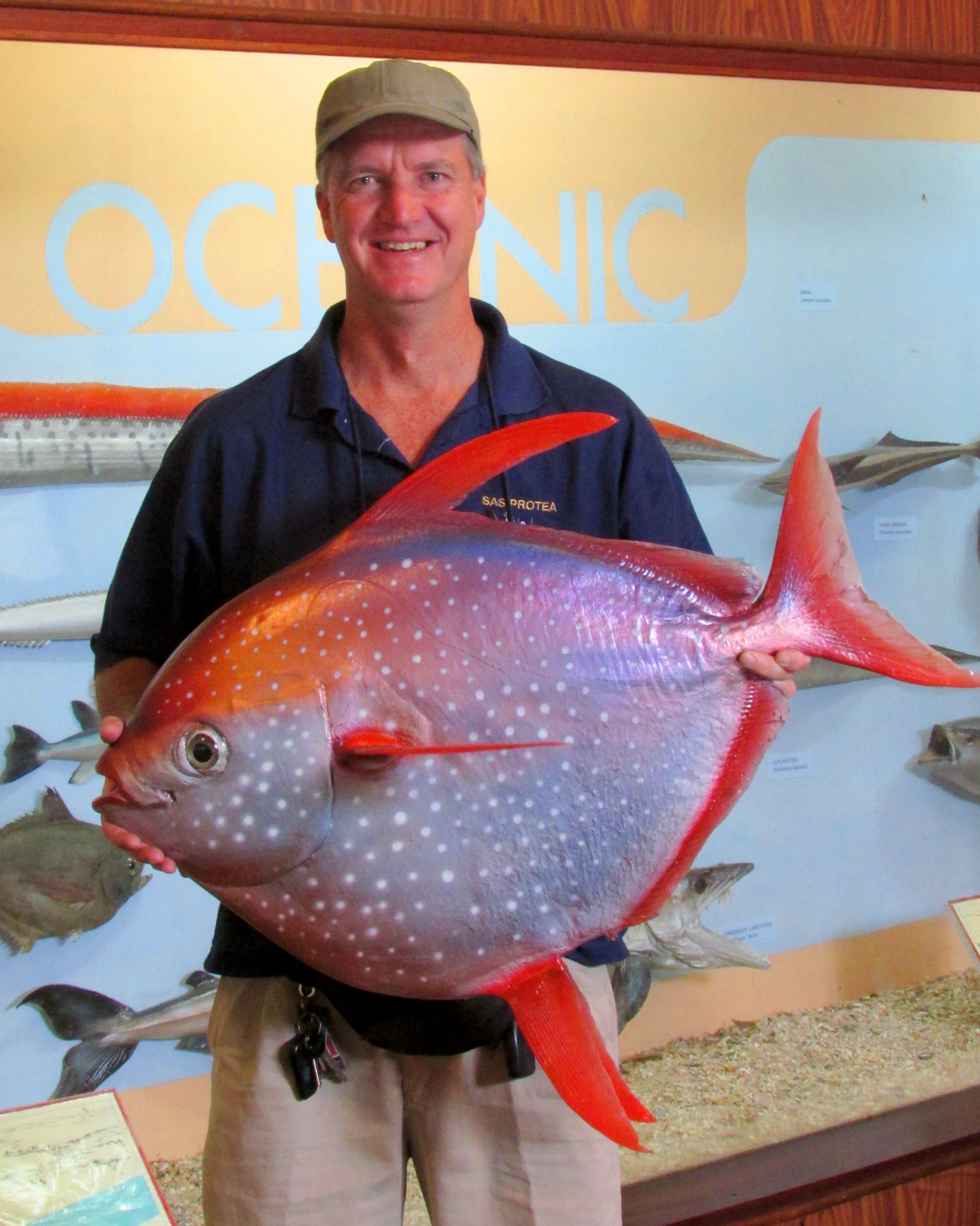 Not all fish are cold blooded – science tells the story of the warm-blooded  opah fish | elmuseumscience